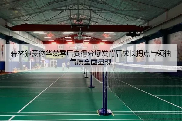 森林狼爱德华兹季后赛得分爆发背后成长拐点与领袖气质全面显现