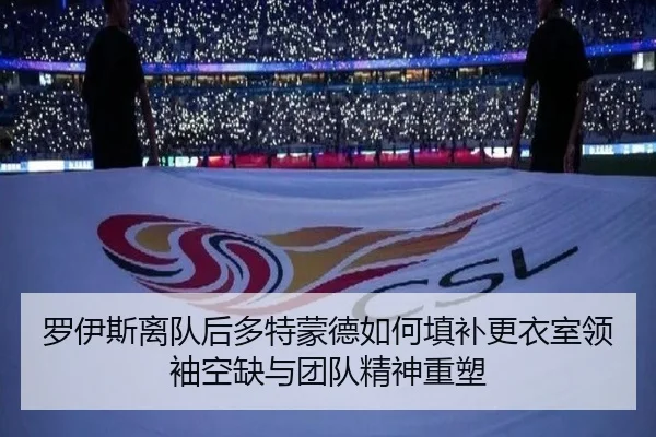 罗伊斯离队后多特蒙德如何填补更衣室领袖空缺与团队精神重塑